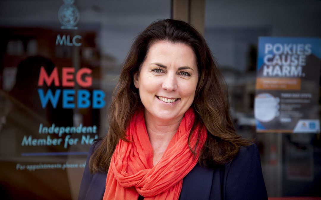 Nelson MLC Meg Webb requests Tasmanian parliament workplace culture review