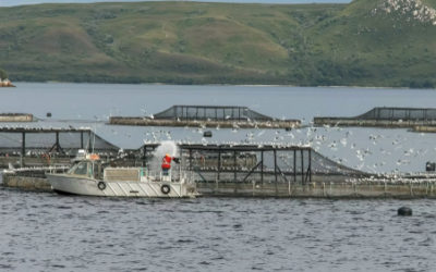 Petition calls for fish farming halt