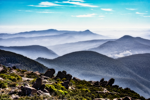 RTI – Tasmania’s State of the Environment Report