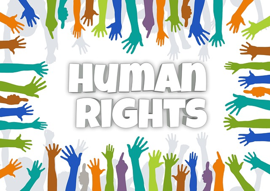 Media Release: Experts Agree Tasmania needs a Human Rights Act
