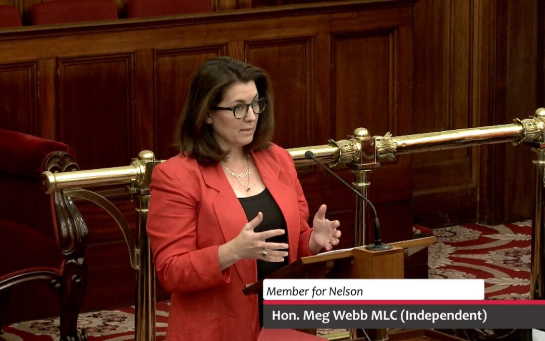 Speech – Police Offences Amendment (Knives And Other Weapons) Bill 2025