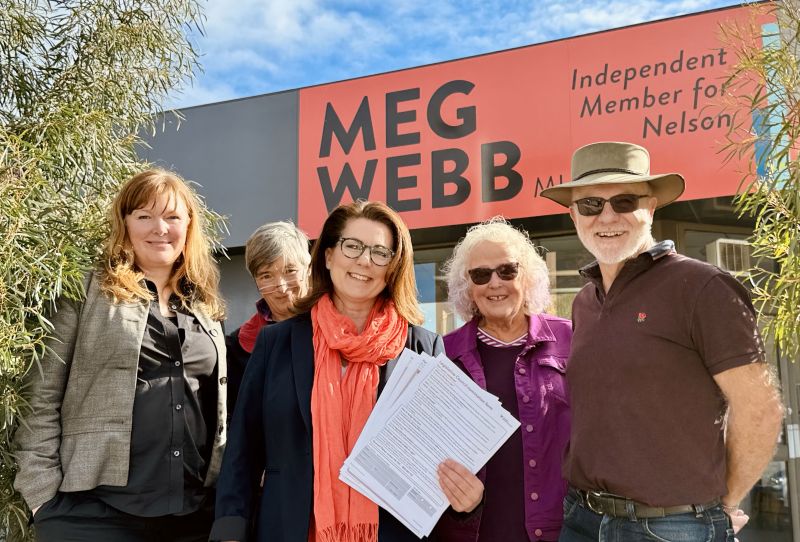 Article-Nelson gears up to vote in the Legislative Council election