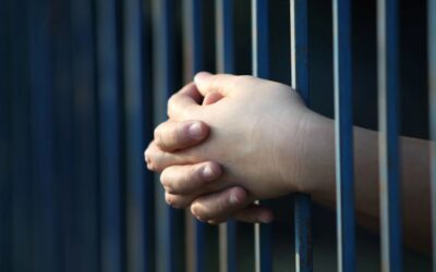 Media Release: Children Falling though Custodial and Political Gaps