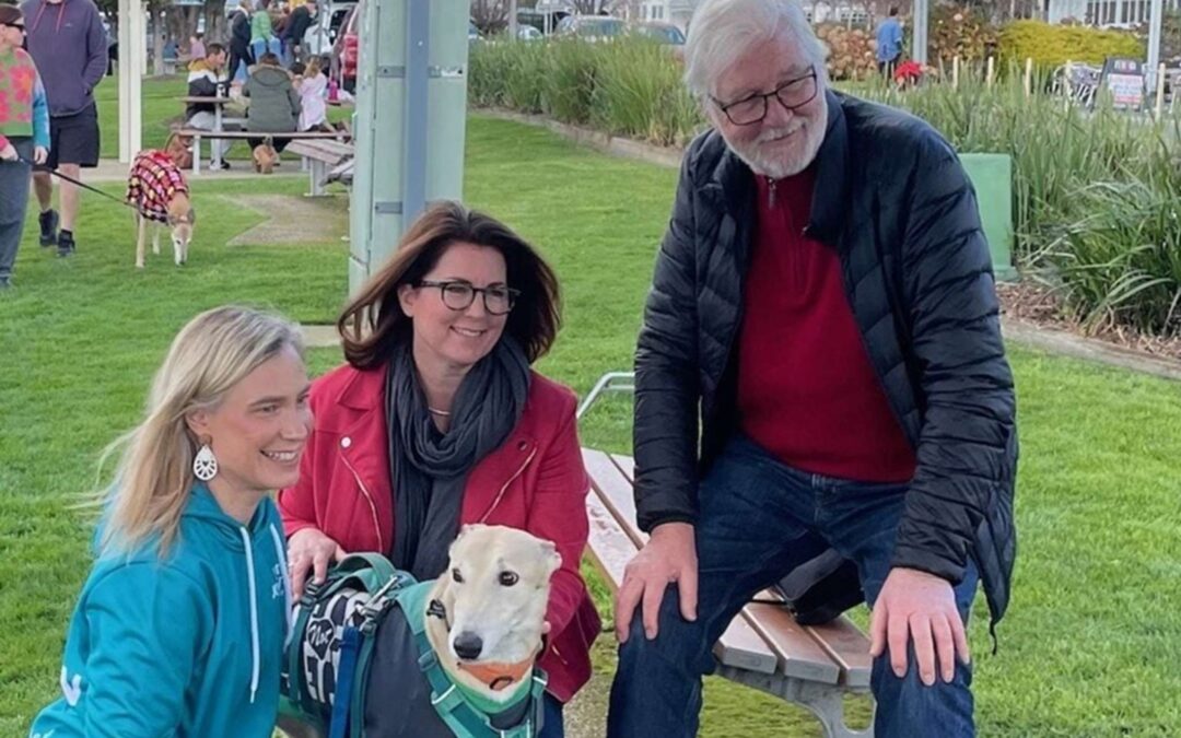 Pulse Tasmania – Independents unite to call for end to greyhound racing subsidies