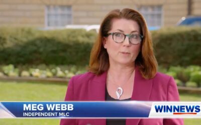 Win TV News Report – Calls for New Tasmanian Parliament to Introduce Fixed Four-Year Terms