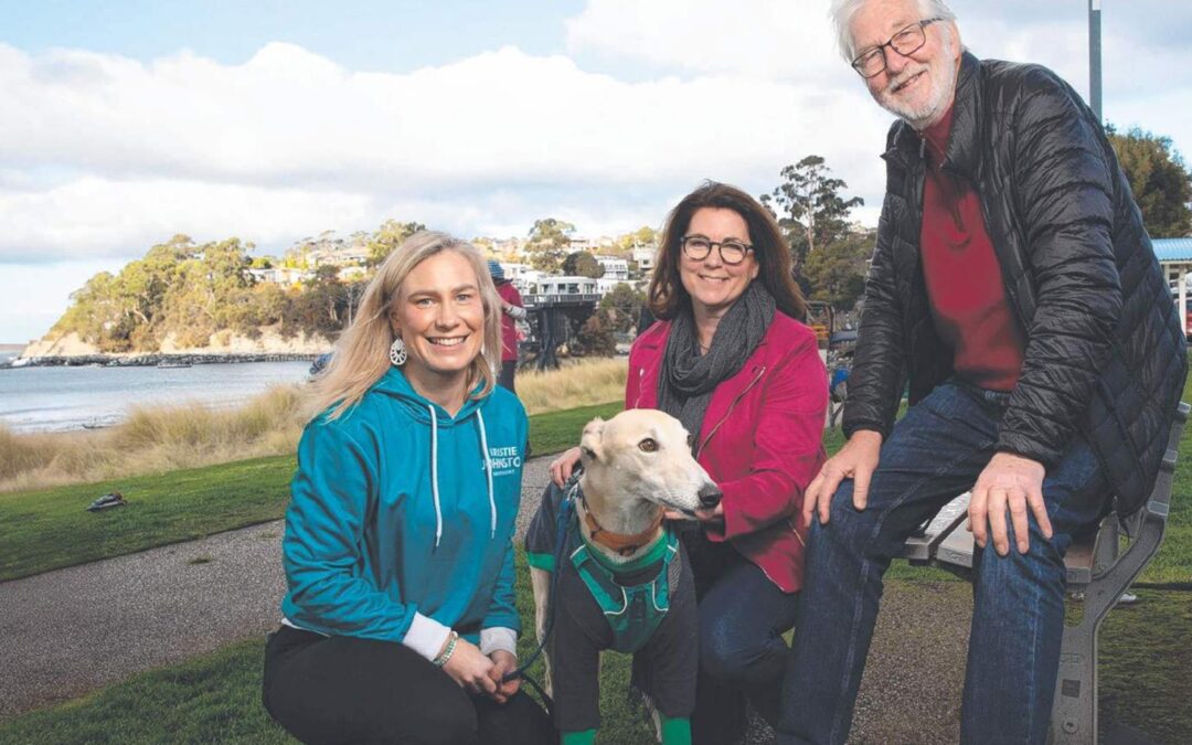 Article-Independents Unite: Support for candidates’ call to end greyhound racing