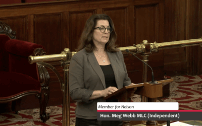 Speech – Budget Accountability and Oversight Committee Bill 2025