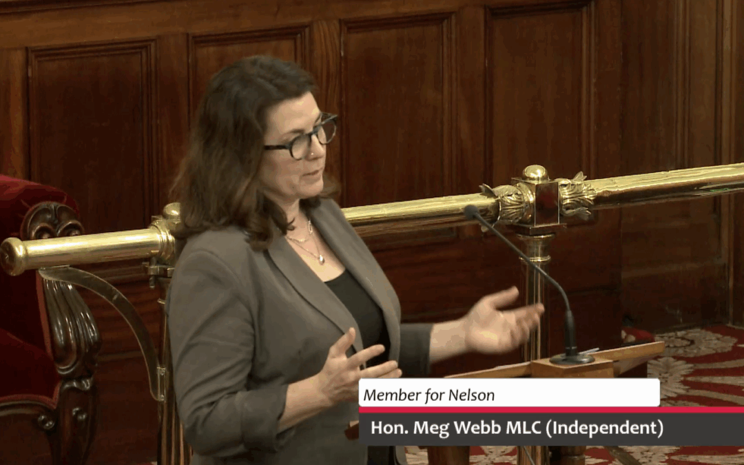 Speech – Custodial Inspector Amendment (Protection From Reprisal) Bill 2025