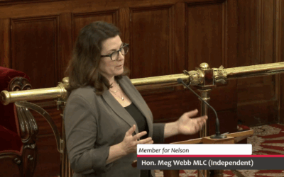 Speech – Custodial Inspector Amendment (Protection From Reprisal) Bill 2025