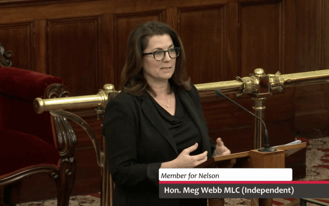 Speech – Residential Tenancy Amendment (Pets) Bill 2025