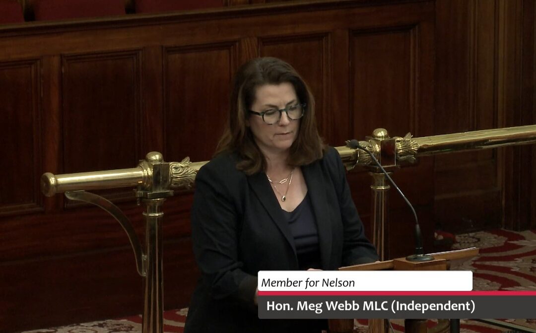 Motion Debated – Alcohol and Drugs Members’ Statement Motion Contribution