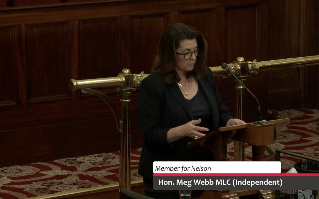 Motion Debated – Project Marinus Whole-of-State Business Case and Federal Government Agreement Motion Contribution