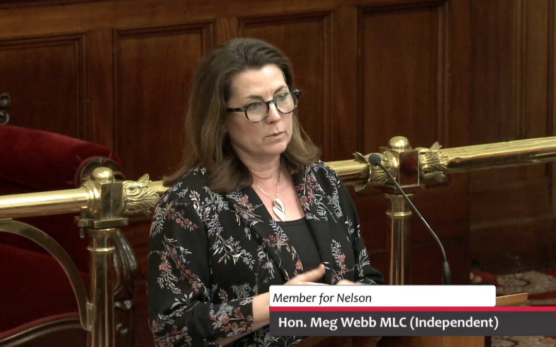 Speech – Sentencing Amendment (Aggravating Offences) Bill 2025