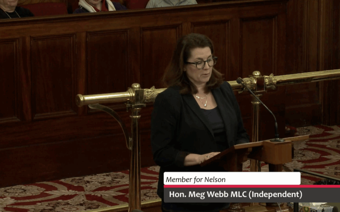 Motion Debated – Committee of the Whole Council to consider the State Policies and Projects (Macquarie Point Precinct) Order 2025 (No 49)