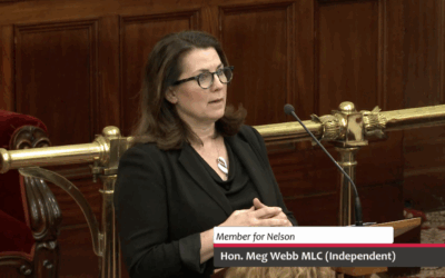 Speech – Commission For Children and Young People Bill 2025