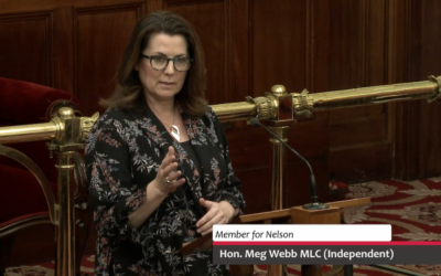 Speech – Taxation and Related Legislation (First Home Owner and Payroll Relief) Bill 2025