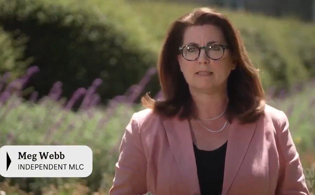 ABC TV News – Original Mandatory Card Proposal Revealed to be More Effective