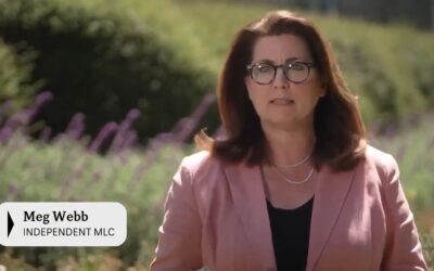 ABC TV News – Original Mandatory Card Proposal Revealed to be More Effective