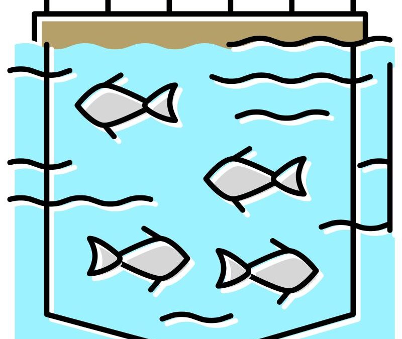 Talking Point-State’s secrecy is just a bit fishy