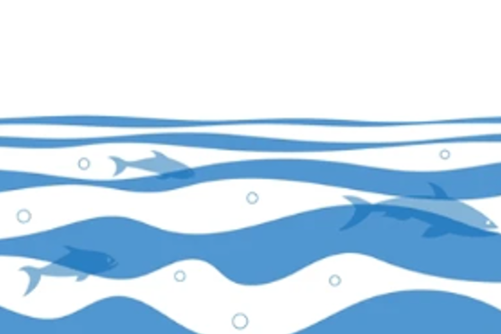 Media Release: Meadowbank Antibiotic Updates Fail to Address Secrecy Concerns