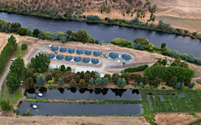 Tasmanian Inquirer – Salmon company confirms use of antibiotic at hatchery in Hobart’s water catchment