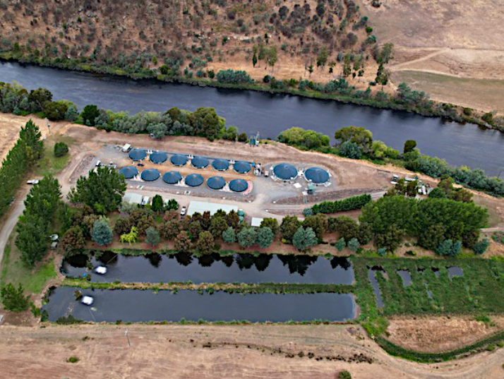 Tasmanian Inquirer – Salmon company confirms use of antibiotic at hatchery in Hobart’s water catchment