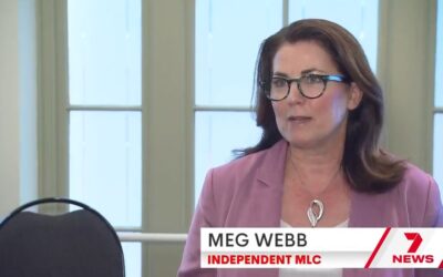 7 Nightly News Tasmania – Launch of Parliamentary Friends of Public Integrity group