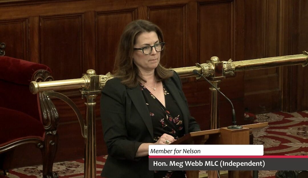 Motion Debate – Getting Back on Track: Independent Review of Tasmania’s Right to Information Framework