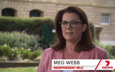 7 Nightly News Tasmania – Questions Surrounding Appointment Process for Heritage Council Chair