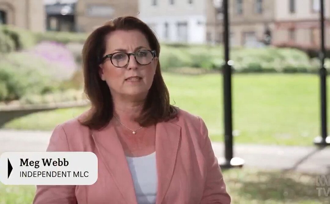 ABC TV News –  Integrity Concerns over Appointment of Chair of State’s Heritage Council