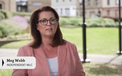 ABC TV News –  Integrity Concerns over Appointment of Chair of State’s Heritage Council