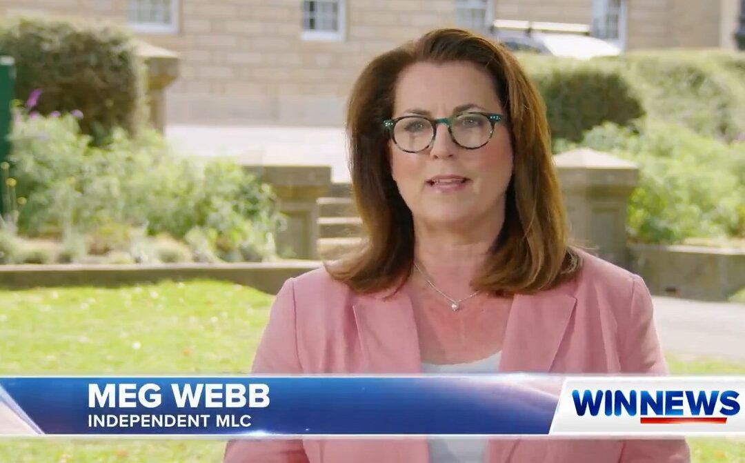 WinTV News –  Disturbing Inconsistencies in Hiring Process of State Heritage Council Chair