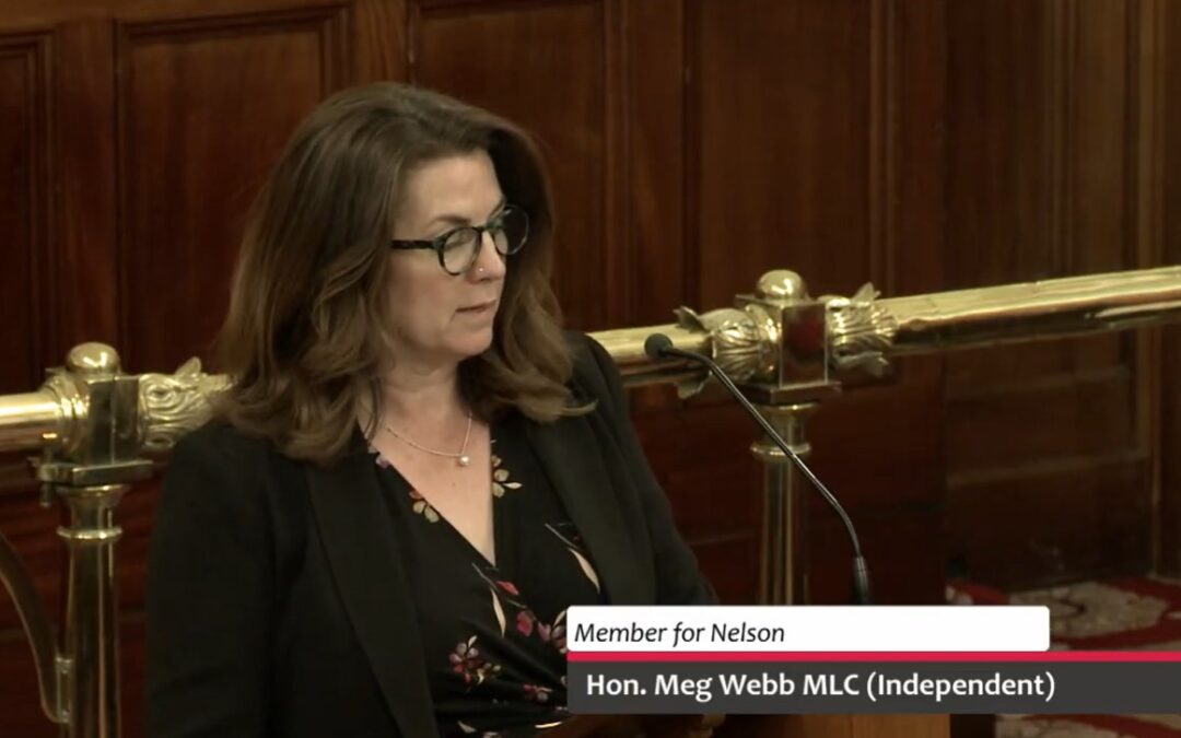 Speech – Petroleum Reporting (Miscellaneous Amendments) Bill 2026