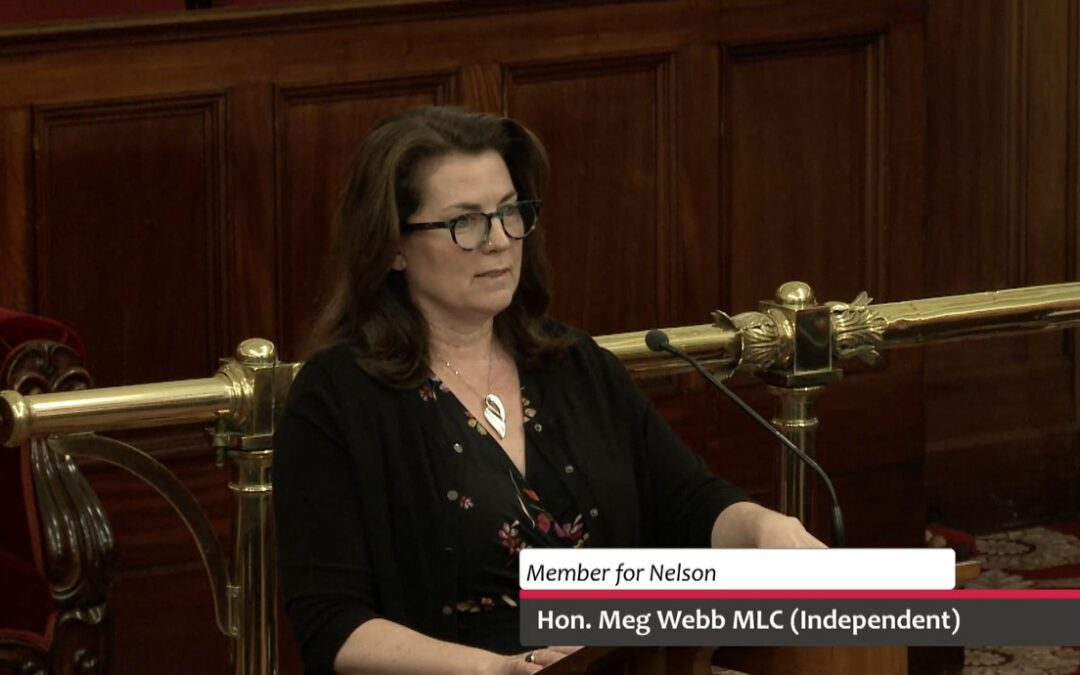 Speech – Local Government Amendment (Targeted Reform) Bill 2026