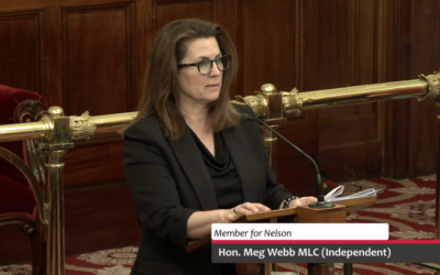 Speech – Police Offences Amendment Bill 2025