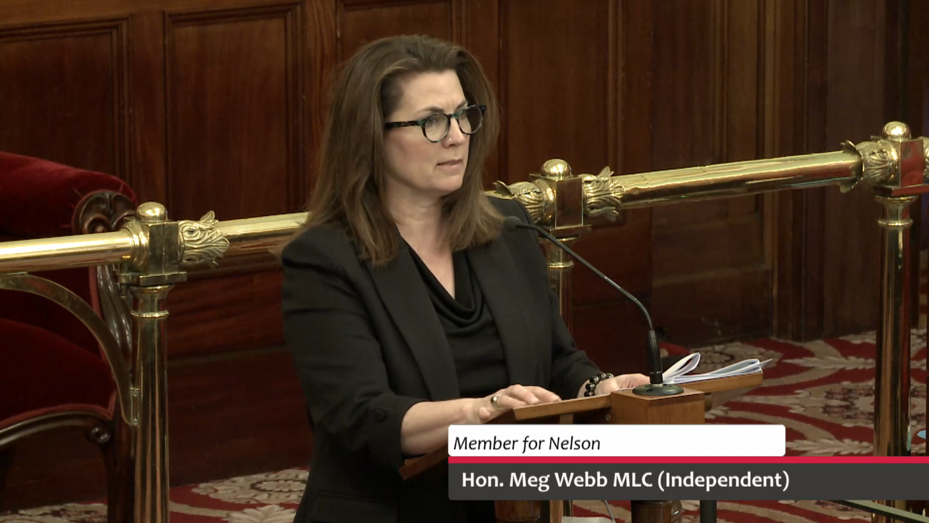 Speech – Police Offences Amendment Bill 2025