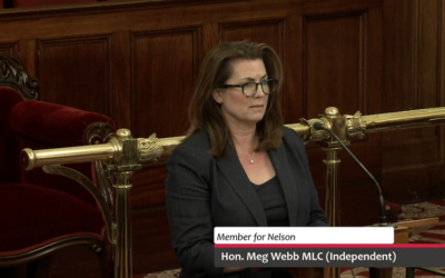 Speech – Police Offences Amendment (Increased Penalties for Damage to Tasmanian War Memorials) Bill 2026