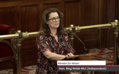 Motion Debated – Joint Sessional Committee Gender, Gender-based Violence and Equality