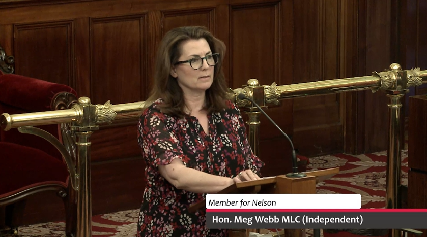 Motion Debated – Joint Sessional Committee Gender, Gender-based Violence and Equality