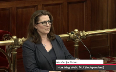 Speech – Residential Tenancy Amendment (Safety Modifications) Bill 2025
