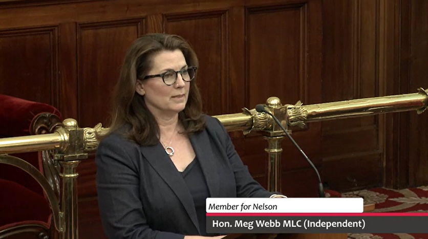 Speech – Residential Tenancy Amendment (Safety Modifications) Bill 2025