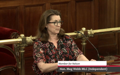 Motion Debated – Sending Short Stay Levy Bill 2026 to Committee A