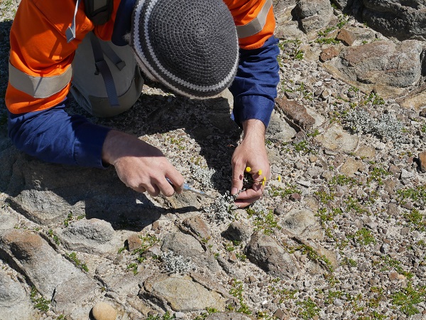 Media Release: Government Must Stop Herbarium Job Cuts