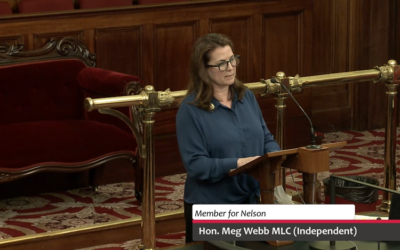 Motion Debated – Report of the Parliamentary Standing Committee of Public Accounts – Consideration and Noting