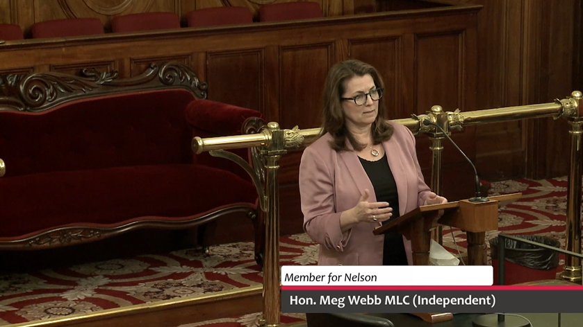 Speech – Short Stay Levy Bill 2026